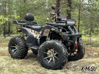Квадроцикл PROMAX 320 DOMINATOR PRO (2025)