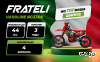Кроссовый мотоцикл FRATELI HARDLINE NC330S EFI WP